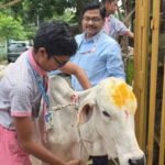 ଗୋ-ମାତାଙ୍କୁ ରାକ୍ଷୀ ବାନ୍ଧିଲେ ଛାତ୍ରଛାତ୍ରୀ
