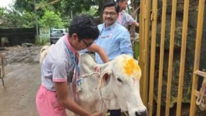 ଗୋ-ମାତାଙ୍କୁ ରାକ୍ଷୀ ବାନ୍ଧିଲେ ଛାତ୍ରଛାତ୍ରୀ
